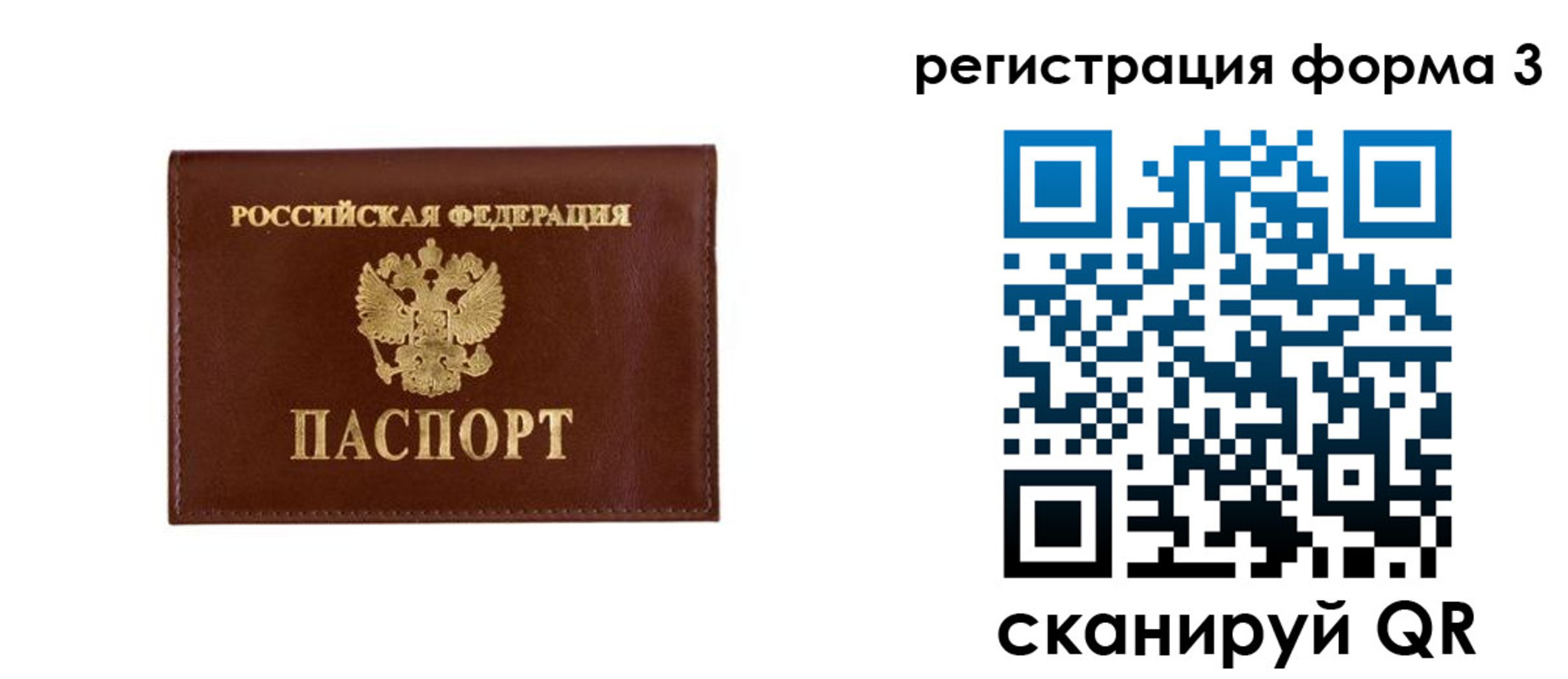 прописка поиск в Домодедово